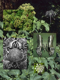 Angelica Archangelica perfume ingredient collage featuring angelica root and botanical musk materials