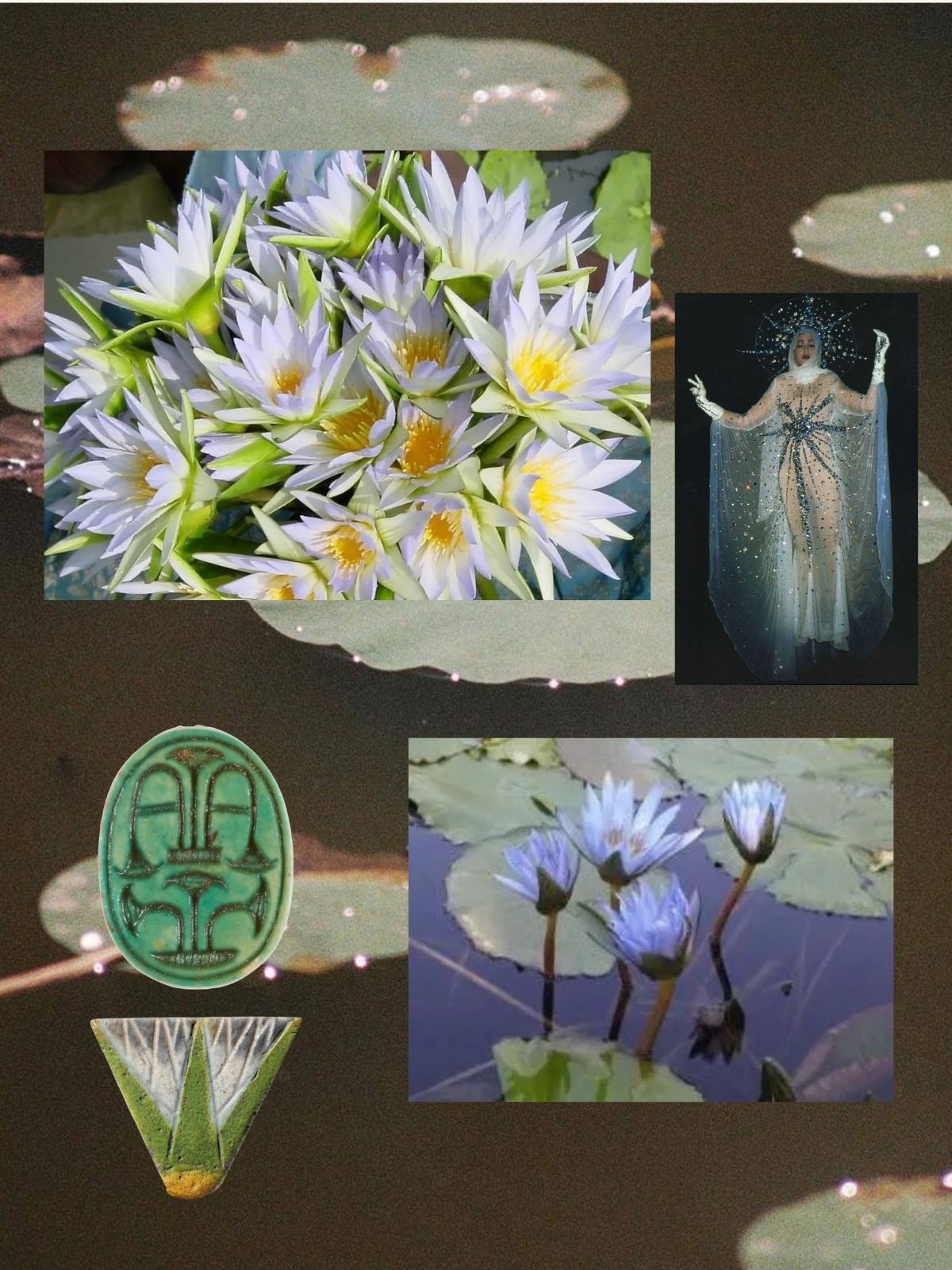 Blue Lotus perfume ingredient collage featuring rare blue lotus flower extract