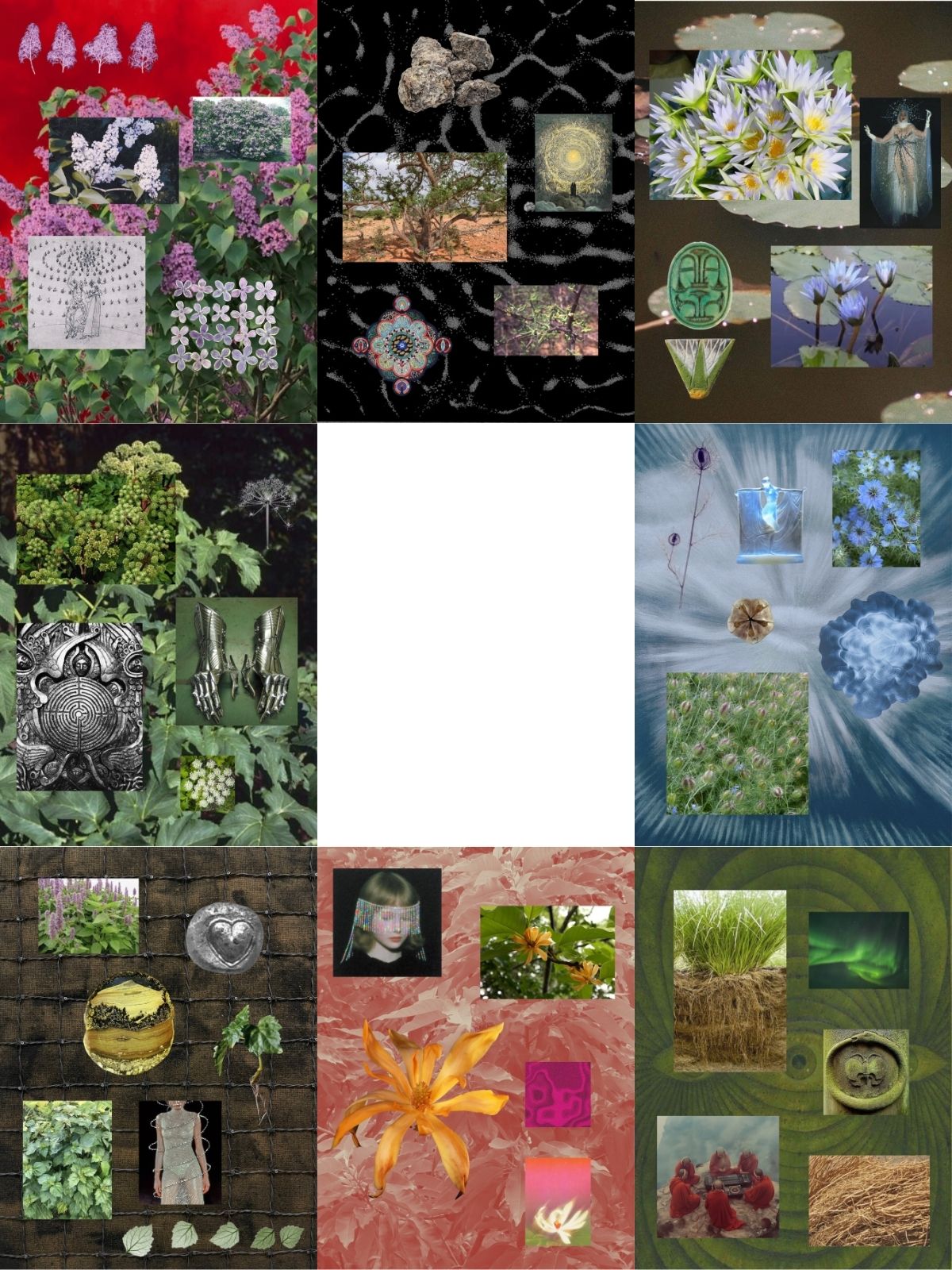 Discovery Set Single Note perfume ingredient collage featuring rare botanical extractions from the Lucky Cloud Single Note collection