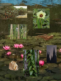 Lotus Eater perfume ingredient collage featuring pink lotus, orange blossom and sandalwood