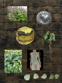 Patchouli 2006 perfume ingredient collage featuring vintage aged patchouli
