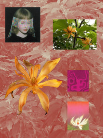 Red Magnolia perfume ingredient collage featuring red magnolia flower extract