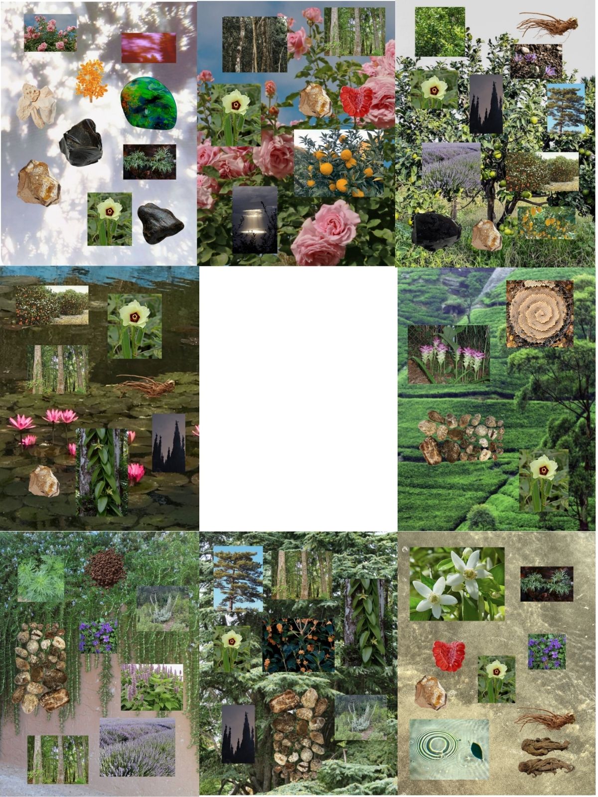 Custom Sample Set core collection perfume ingredient collage featuring botanical fragrance materials from the Lucky Cloud Eau De Parfum core collection
